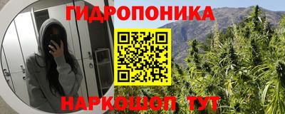 кокс Котовск